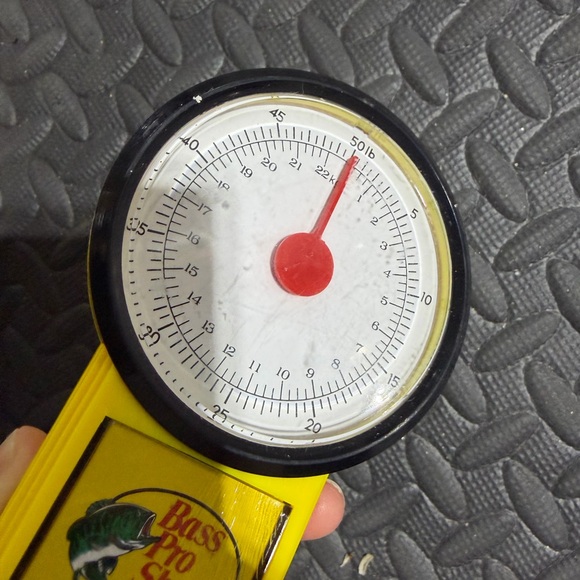 Bass Pro Shops Fish Scale - Picture 4 of 4